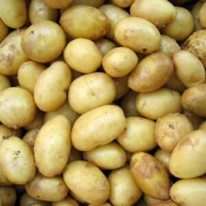 Kartoffeln als wertvolle Nährstoffquelle bei Kinderwunsch