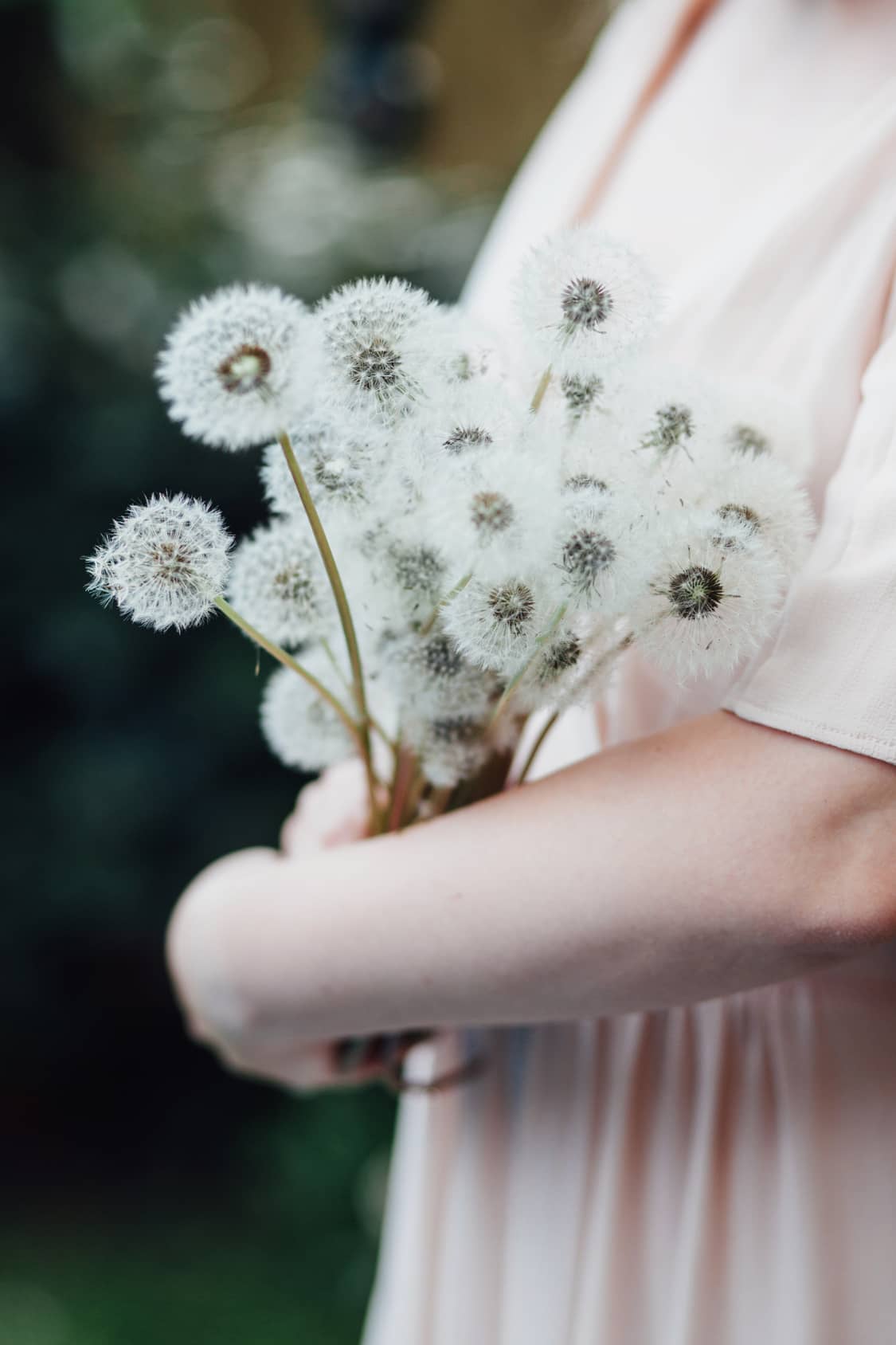 Frau, die Löwenzahn Pusteblumen hält als Symbol für ihre Fruchtbarkeit / Eizellen.